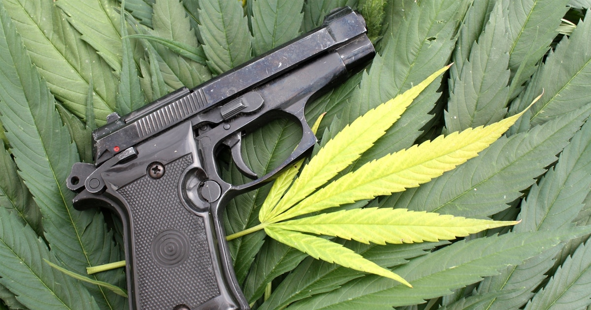 Gun Ownership and Marijuana: A Sticky Situation - RVIVR