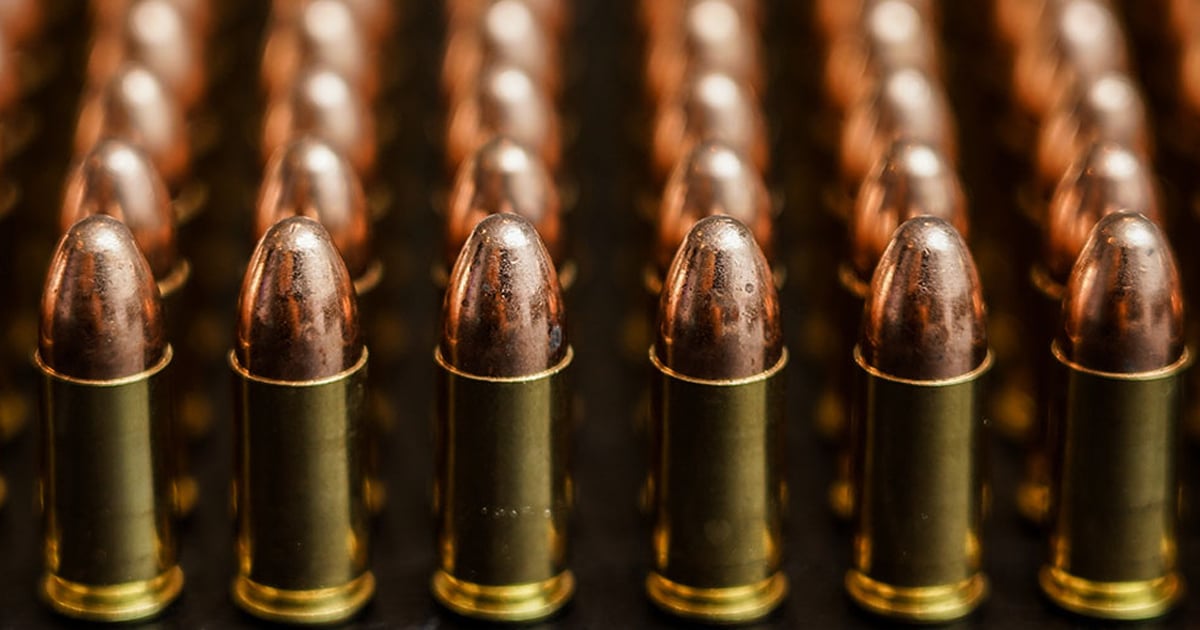 New Set Of Gun Permit Requirements Ammo Limits Face Oregon Voters Rvivr 4947