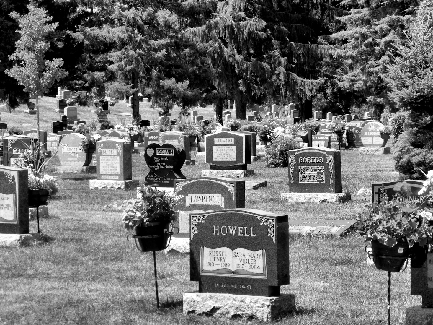 Dead People Got Trillions In Medicare Benefits RVIVR dead-people-got-trillions-in-medicare-benefits-rvivr