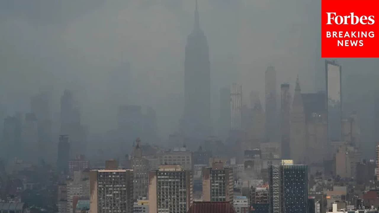 This Is Why New York Will Ultimately Collapse Steve Forbes RVIVR