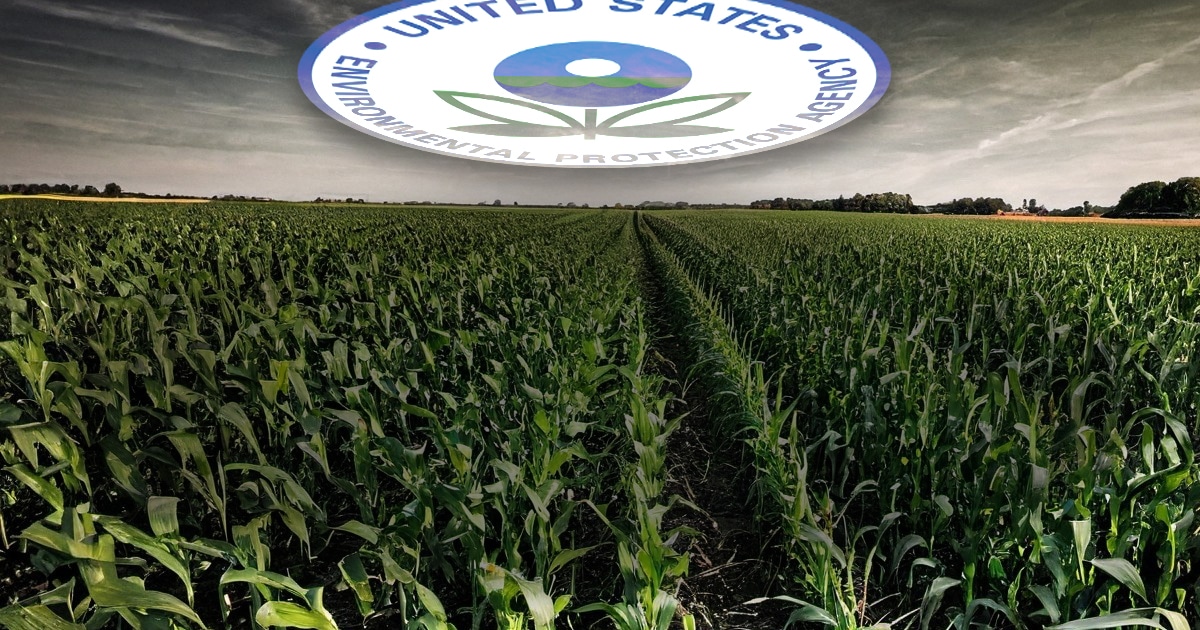 Corn growers join lawsuit against EPA for emissions mandates RVIVR